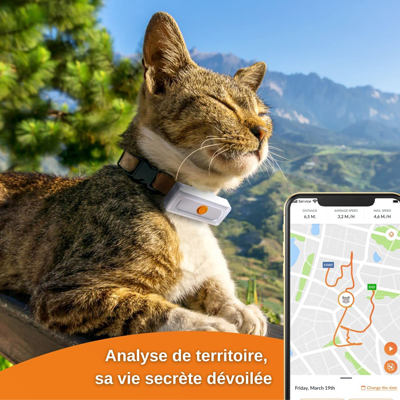 colliers GPS pour chats - Weenect Cats 2 - Chat qui se bronze avec un traceur autour du coup à la montagne