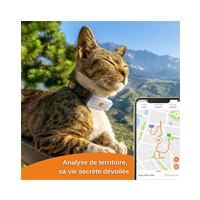 colliers GPS pour chats - Weenect Cats 2 - Chat qui se bronze avec un traceur autour du coup à la montagne