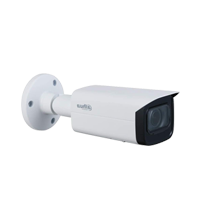 Caméra poe extérieur - Dahua DS-2CD265FWD-IZS
